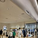 산드로아울렛롯데 - 용인시 기흥구 신고매로 124 | 산드로아울렛롯데