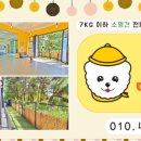 멜리애견유치원 이미지