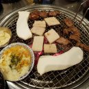 꽃돼지갈매기