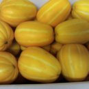 늘푸른청과 이미지