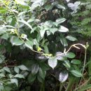 광장18호 이미지