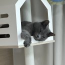 무지랭이 | [내돈내산] 애플워치 무지랭이의 애플워치SE2 구매 &amp; 배경화면 설정하기