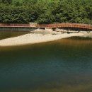 대천공원 호수 준설 시급 - 폭우때 쌓인 퇴적물 호수바닥부터 썩어 (2009.9.28) 이미지