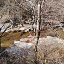 용추자연휴양림야영장 이미지