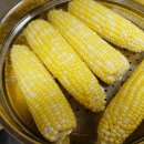 🌽 여름 간식 끝판왕! 올바른로컬푸드 제주 초당옥수수 후기 🌞