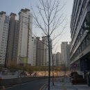 코스모스미용실 - 서귀포시 동문로 68 | 코스모스미용실