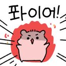 월드화랑태권도장 이미지