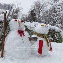 설경민박 이미지