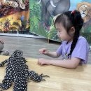 애니멀스쿨 이미지