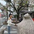 보성여객 | [🇯🇵 마쓰야마 3박 4일] 일본 소도시 여행 1일차 코스 :: 스마일호텔, 키스케노유온천, 현지인 맛집