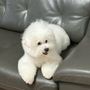 그루밍, 안나 이미지