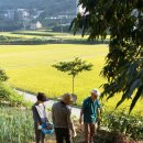 풍년산장 이미지