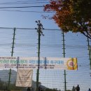 교산동 족구장 이미지