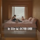 아기애견 | ❄️ 애견동반 봉화 홀리가든 후기｜아기랑 감성 숙소 추천 + 예약 꿀팁 (경북 펜션)
