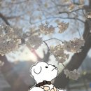 백수의 13주일 삶