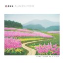 청도소싸움테마파크 이미지