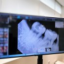 미켈란치과의원 이미지