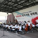 평화드림