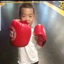 수성아트복싱클럽 수성1가점 이미지