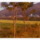 능암주유소 이미지