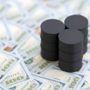 부산페트로서비스 이미지