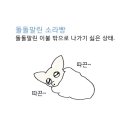 김밥신화 이미지