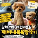 제일목욕탕 | 김해외동 애견미용실목욕강아지 깨비네목욕탕 웰니스 스파 1:1 맞춤 케어 솔직 후기
