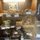 오늘호스텔 | [청주성안길디저트맛집] 커피호스텔 내돈내산 방문 후기(주차/애견동반)