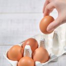 베스트메디컬 이미지