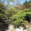 유선여관 이미지