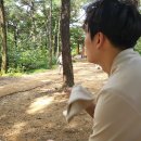 (버스)라온중고등학교 이미지