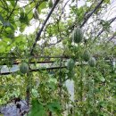 현재농장 이미지