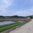 금마면-01 이미지