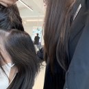 로데미용실 - 고양시 덕양구 호국로790번길 30 | 압구정로데오 미용실 두피클리닉 후기 각질 떡짐 고민 해결한 비오른헤어 압구정로데오점