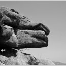 대월리 마을회관 이미지