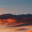 중앙동물병원부설가축인공수정소 | 농업보호구역 농지를 지키기 위한 특별한 울타리