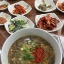 유리네 | 제주 연동 '유리네식당' 짧은 후기 (내돈내산/제주시맛집/연동맛집/김치찌개/몸국)