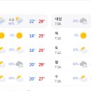 전국 폭염특보, 대관령 날씨 근황 이미지