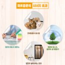칠전서길 이미지