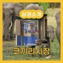 코끼리시장 이미지