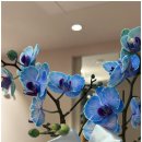 장피부과의원 이미지