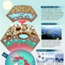 ANYLAB(애니랩) 이미지