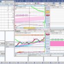 2024년 11월 14일 내일 주식 단타 종목(시가기준 1~3%) 이미지