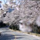 덕산계곡진입로 이미지