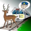 [열차와 동물 충돌] JR센잔선(仙山線)에서 열차가 사슴과 충돌 후 운행 재개 - 그 후 또 곰과 충돌 - 열차는 3시간 43분 지연 도착 이미지