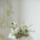 노브그린플라워스튜디오