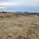 서해 외딴섬 비경의 섬 굴업도 여행후기, 2025. 09. 16~18 이미지