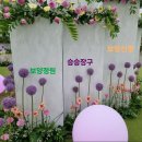 R보양교육의료클리닉 웨딩보양정원 이미지