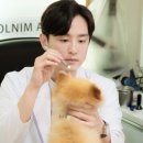 누아르 이미지