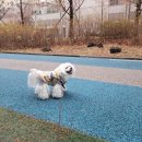 미르네농장 네이버블로그